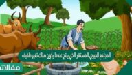 المجتمع الحيوي المستقر الذي ينتج عندما يكون هناك تغير طفيف في عدد الأنواع