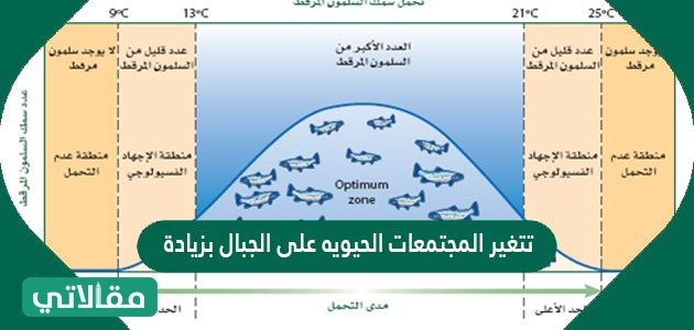 ما البيئة الأقل ملاءمة للطلائعيات