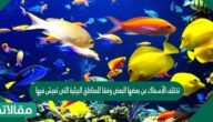 تتشابه الأسماك التي تعيش في البيئة المائية العذبة مع الأسماك التي تعيش في البيئة المائية البحرية