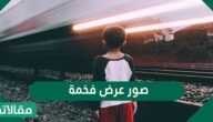 اجمل صور عرض فخمة مميزة وجميلة 2026