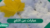عبارات عن الثلج 2025