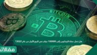 هل تصل عملة البيتكوين إلى 100000 دولار في الربع الأول من عام 2024؟
