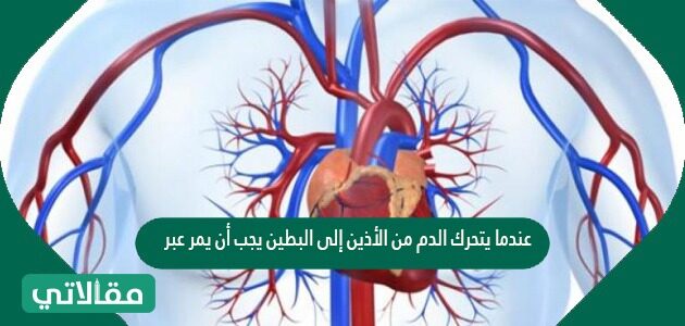 الحمراء خلايا الدم لا تنتقل لا تنتقل