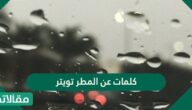 كلمات عن المطر تويتر 2025
