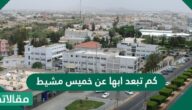 كم تبعد ابها عن خميس مشيط