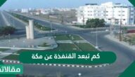 كم تبعد القنفذة عن مكة