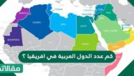 كم عدد الدول العربية في افريقيا ؟