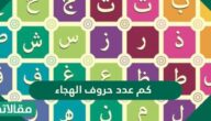 كم عدد حروف الهجاء