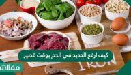 كيف ارفع الحديد في الدم بوقت قصير