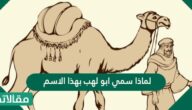 لماذا سمي ابو لهب بهذا الاسم