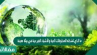 ما الذي تشكله المخلوقات الحية والأشياء الغير حية في بيئة معينة