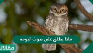 ماذا يطلق على صوت البومه