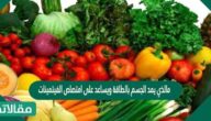مالذي يمد الجسم بالطاقة ويساعد على امتصاص الفيتمينات