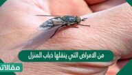 من الامراض التي ينقلها ذباب المنزل