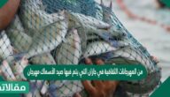 من المهرجانات الثقافية في جازان التي يتم فيها صيد الأسماك مهرجان ##