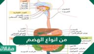 من انواع الهضم