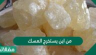 من اين يستخرج المسك