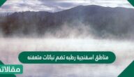 مناطق اسفنجية رطبه تضم نباتات متعفنه