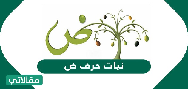 نبات حرف ض