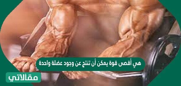 تقاس القدر العضلية عن طريق