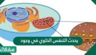 يحدث التنفس الخلوي في وجود