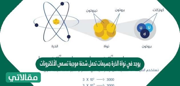 في الذرة جسيمات العنصر الشحنة نواة موجبة الجسيمات موجبة