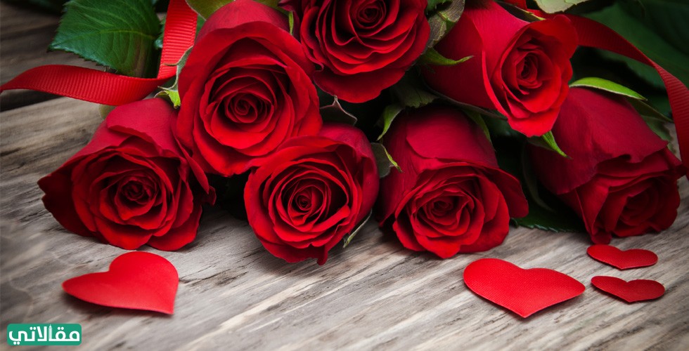 صور للورود الحمراء تدل على عيد الحب