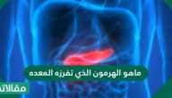 ماهو الهرمون الذي تفرزه المعده