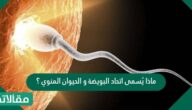 ماذا يُسمى اتحاد البويضة و الحيوان المنوي ؟