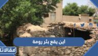 اين يقع بئر رومة