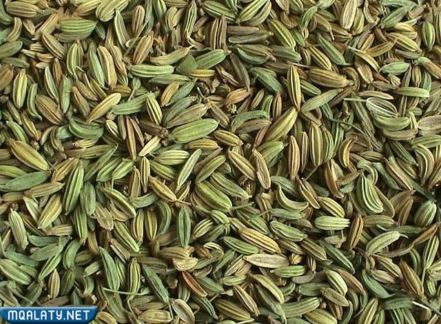 تسهيل الولادة باستخدام الشمر