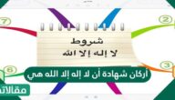 أركان شهادة أن لا إله إلا الله هي