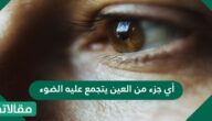 أي جزء من العين يتجمع عليه الضوء