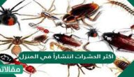 اكثر الحشرات انتشاراً في المنزل