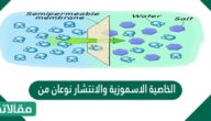 الخاصية الاسموزية والانتشار نوعان من