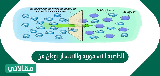 الخاصية الاسموزية والانتشار نوعان من