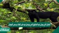 المكان الذي يعيش فيه المخلوق الحي ويحصل فيه على الغذاء يسمى الموطن