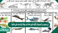 اي مجموعه من المجموعات التالية تحتوي فقط على حيوانات لها عمود فقري فقاريات