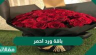 اجمل صور باقة ورد احمر بمناسبة يوم الحب 2025