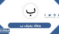 اسم جماد بحرف ب الباء