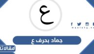 اسم جماد بحرف ع العين