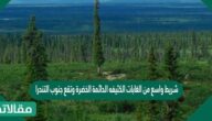 شريط واسع من الغابات الكثيفه الدائمة الخضرة وتقع جنوب التندرا