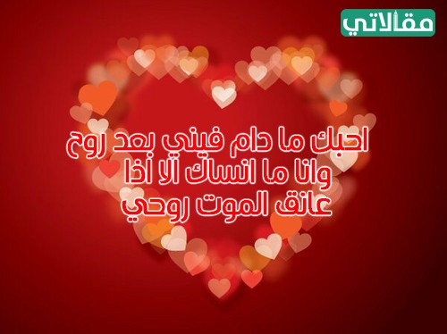صور مكتوب عليها بعض الكلمات الرومانسية في عيد الحب