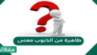 طاهرة من الذنوب معنى