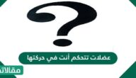 عضلات تتحكم أنت في حركتها