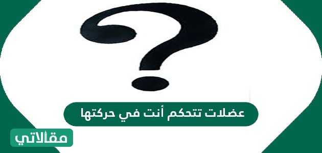 عضلات تتحكم أنت في حركتها
