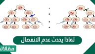 لماذا يحدث عدم الانفصال