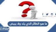 ما هو الطائر الذي يلد ولا يبيض