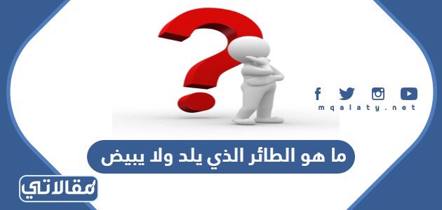 ما هو الطائر الذي يلد ولا يبيض