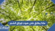 ماذا يطلق على صوت اوراق الشجر